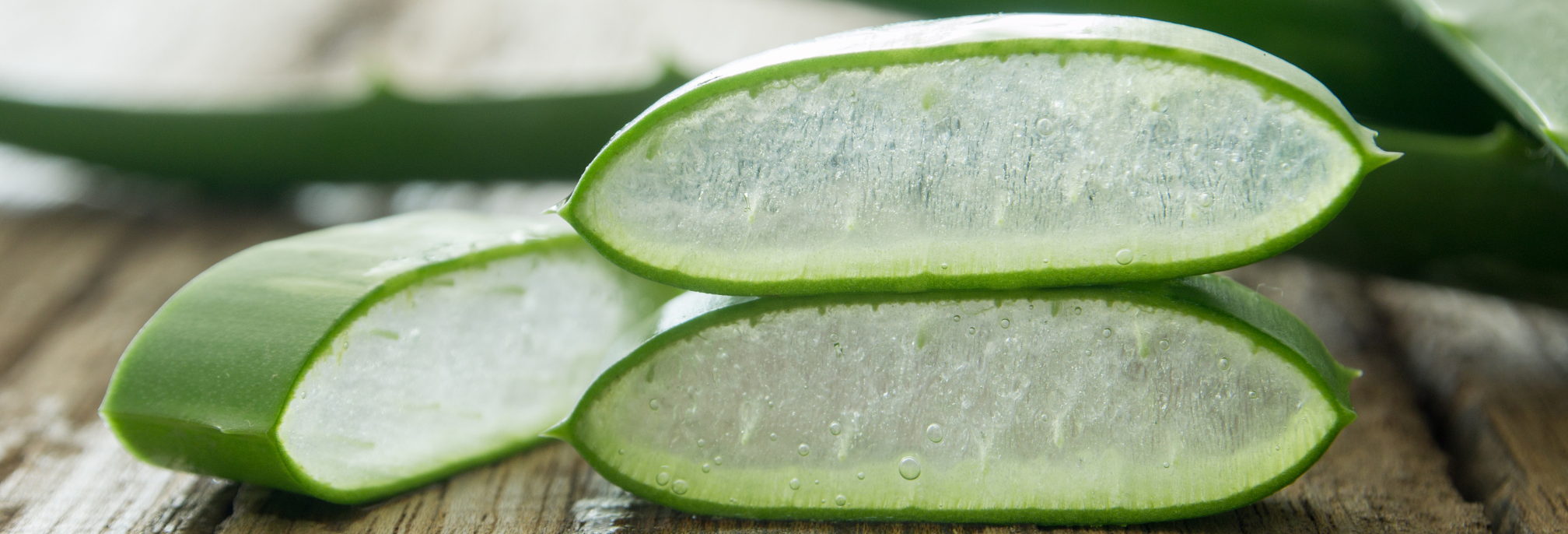 KW_38_Teaser_NL_Header_2016_x_1500_px_4_LP