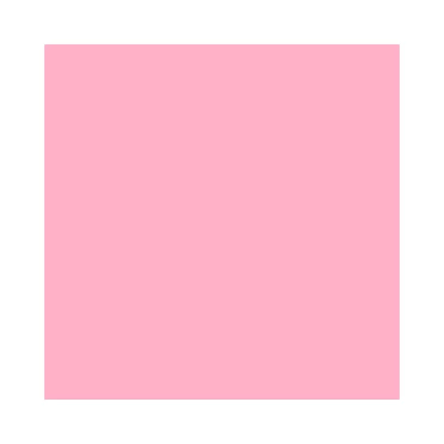 Rose (02)