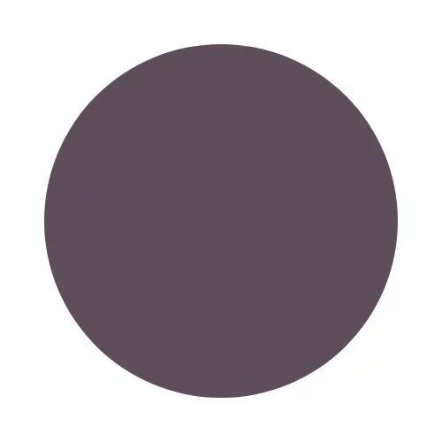 aubergine (20)